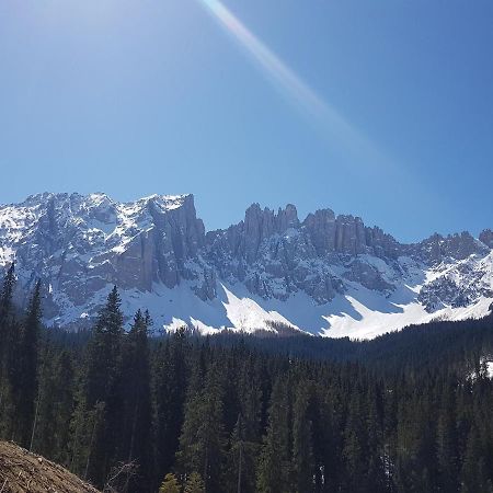 Appartamenti Panoramici Direttamente Sulle Piste Da Sci - Golf Hotel Carezza - Nova Levante Болзано Екстериор снимка