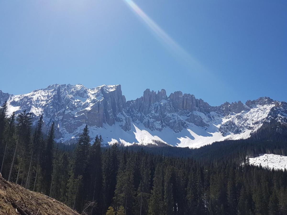 Appartamenti Panoramici Direttamente Sulle Piste Da Sci - Golf Hotel Carezza - Nova Levante Болзано Екстериор снимка